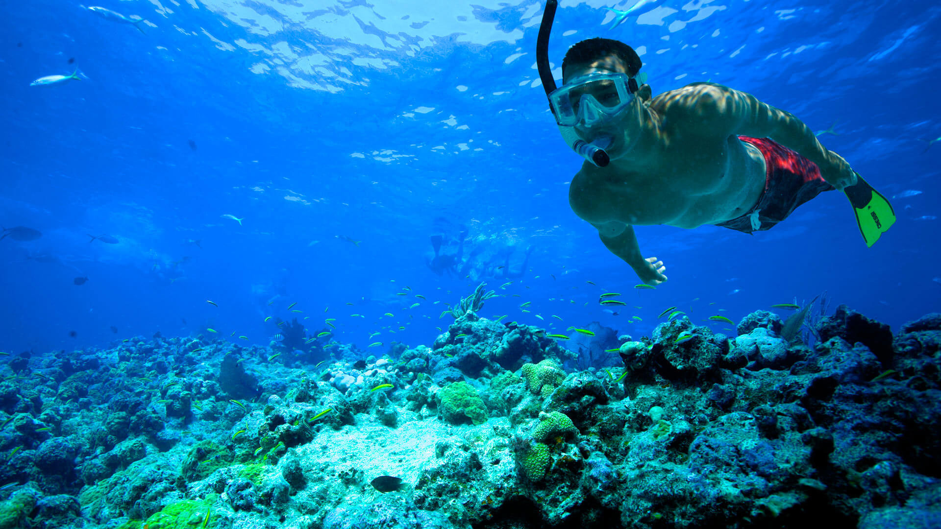 Snorkeling